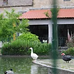 Farm stay Quinta Dos Patos